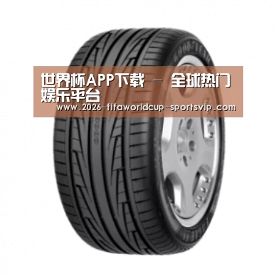 世界杯APP下载产品名称三