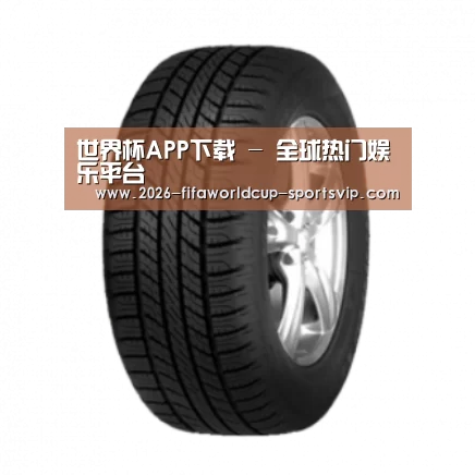 世界杯APP下载产品名称八