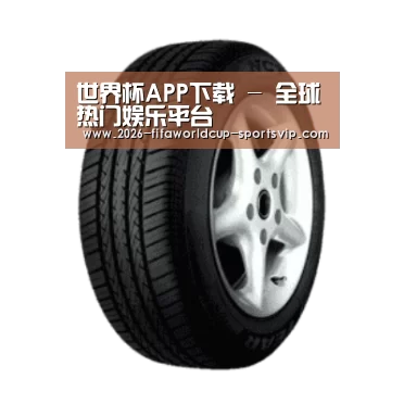 世界杯APP下载产品名称四