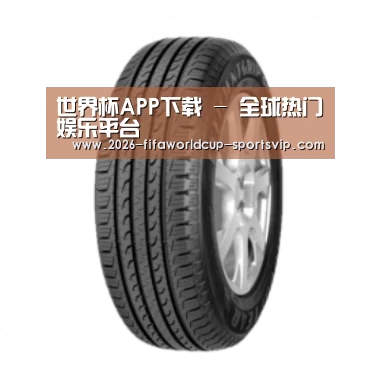 世界杯APP下载产品名称五