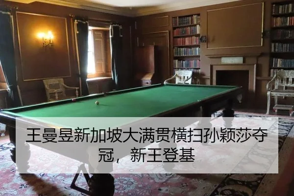 王曼昱新加坡大满贯横扫孙颖莎夺冠，新王登基