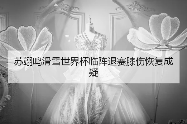 su-yi-ming-hua-xue-shi-jie-bei-lin-zhen-tui-sai-xi-shang-hui-fu-cheng-yi-3-600.jpg