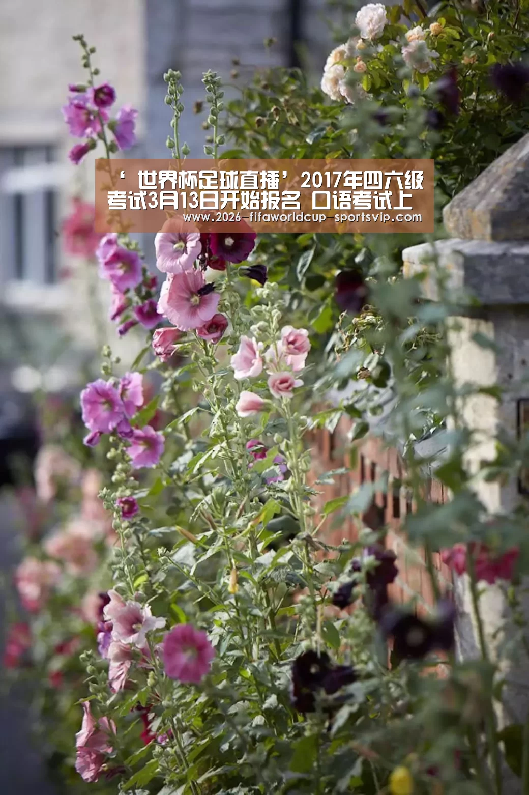  世界杯综合娱乐平台
