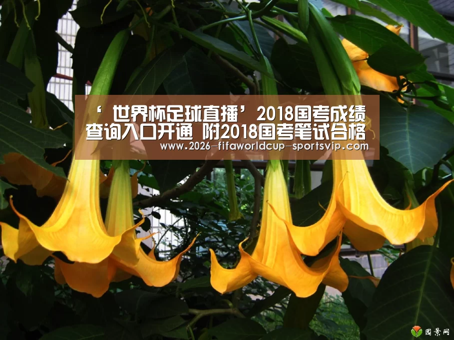 ‘ 世界杯足球直播’2018国考成绩查询入口开通 附2018国考笔试合格分数线和调剂公告(图2) 世界杯综合娱乐平台